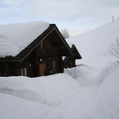 Ferienwohnungen Im Blockhaus Metzler Schwarzenberg im Bregenzerwald Kültér fotó