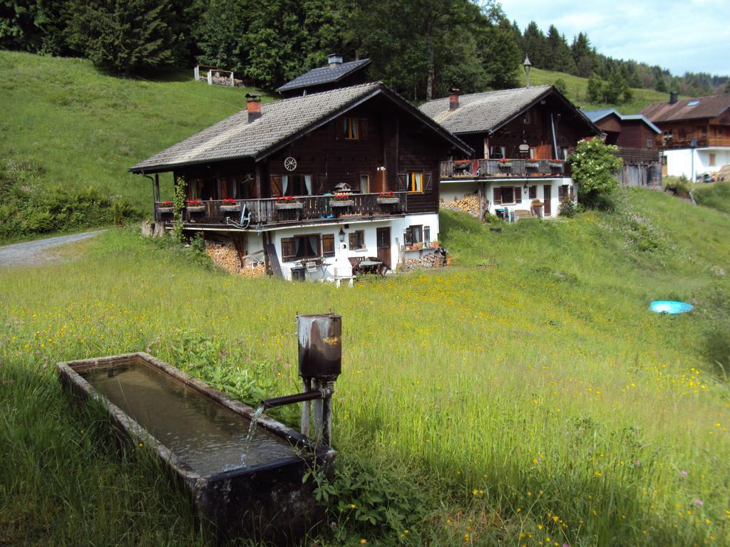 Ferienwohnungen Im Blockhaus Metzler Schwarzenberg im Bregenzerwald Kültér fotó