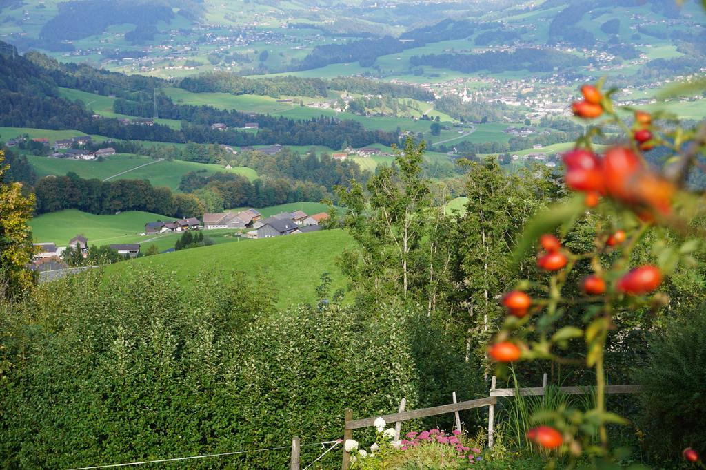 Ferienwohnungen Im Blockhaus Metzler Schwarzenberg im Bregenzerwald Kültér fotó