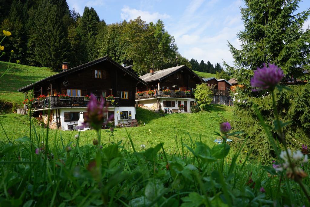 Ferienwohnungen Im Blockhaus Metzler Schwarzenberg im Bregenzerwald Kültér fotó